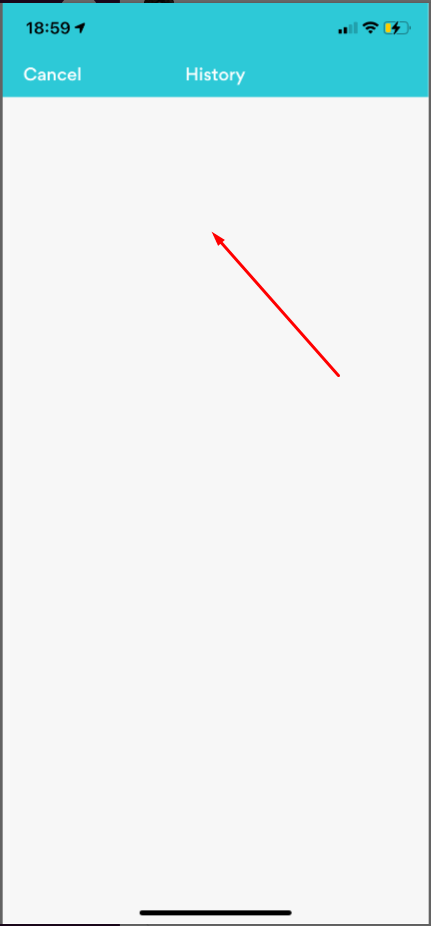 La page « Historique » est vide avec seulement un fond blanc