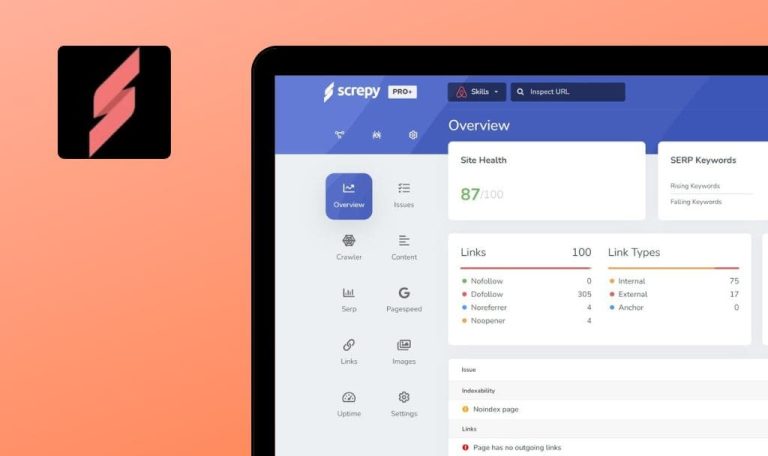 Bugs trouvés dans le SaaS Screpy