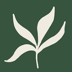 WorryTree : relaxation et TCC contre l’anxiété