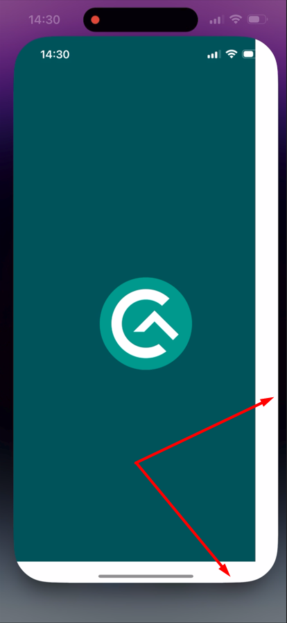 L'écran de démarrage est coupé sur la droite et le bas au lancement de l'application