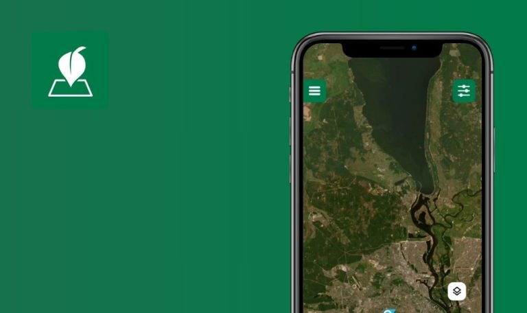 Bugs trouvés dans TreeMapper pour Android