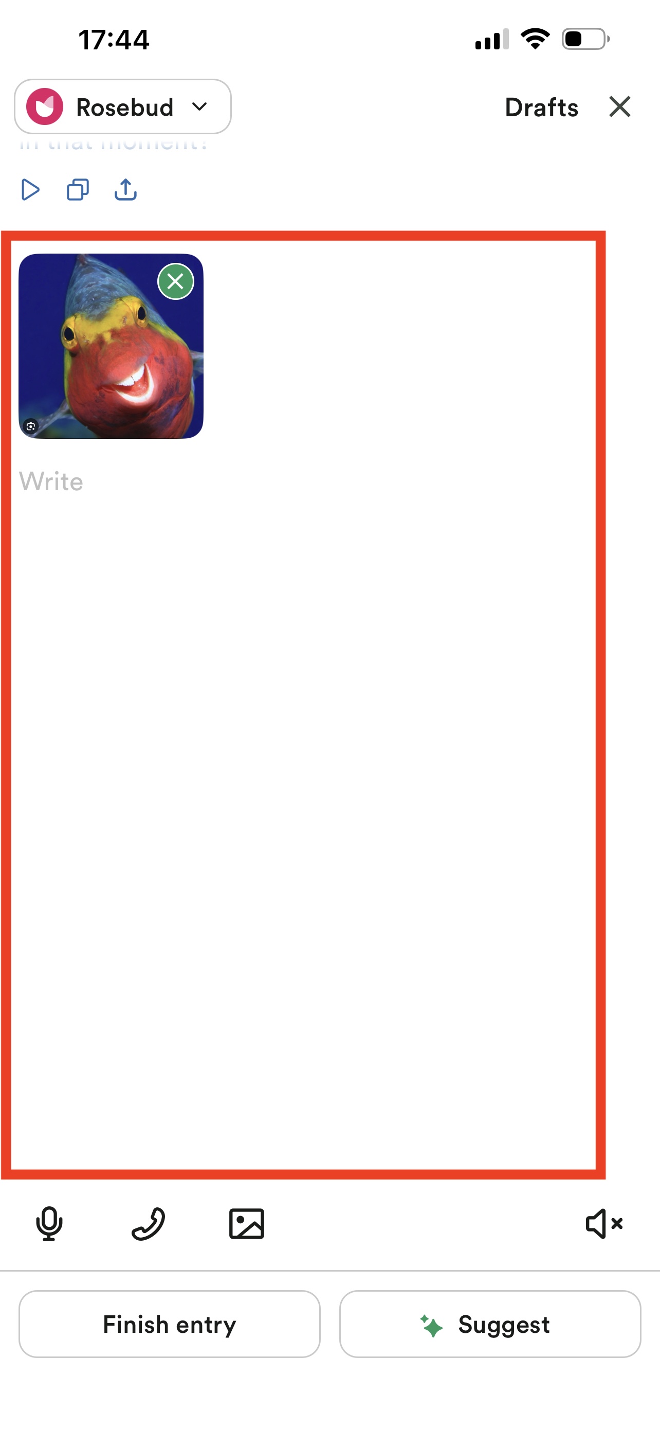 L'IA ne répond pas à l'image envoyée par l'utilisateur
