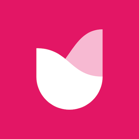 Rosebud : Journal IA et Carnet de Bord