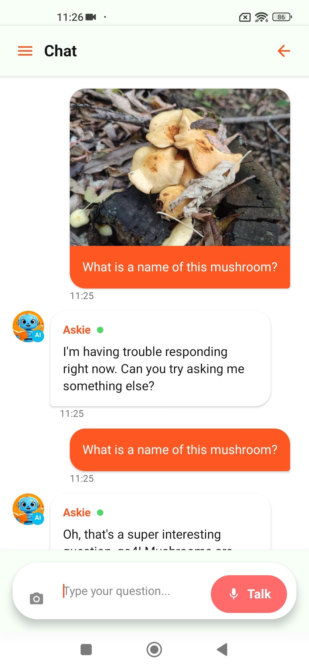 Le chat renvoie un message d’erreur générique lors de l’envoi d’une image avec une question